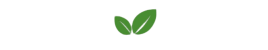 Soursop Brews & Blends Soursop Brews & Blends